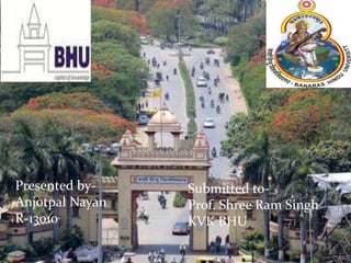 Presented by-
Anjotpal Nayan
R-13010
Submitted to-
Prof. Shree Ram Singh
KVK BHU
 
