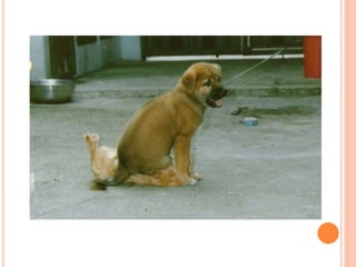 SOMETIMES WHEN YOU ARE ANGRY WITH SOMEONE, IT
HELPS TO SIT DOWN AND THINK ABOUT THE PROBLEM.
 