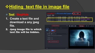 Hiding text file in image file
 Tool : StegHide
1. Create a text file and
download a any jpeg
file.
2. Jpeg image file in which
text file will be hidden.
 