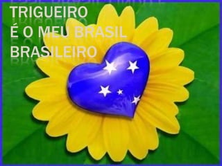 TRIGUEIRO
É O MEU BRASIL
BRASILEIRO