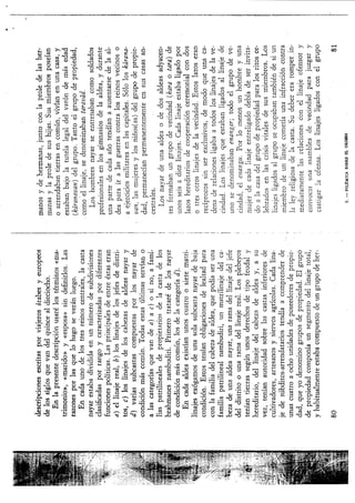 Nayar irakurketa (1) (1)