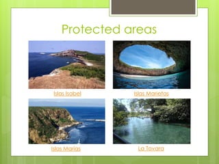 Protected areas 
Islas Isabel Islas Marietas 
Islas Marías 
La Tovara 
 