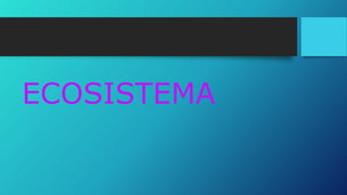 ECOSISTEMA
 