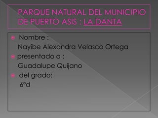  Nombre :
Nayibe Alexandra Velasco Ortega
 presentado a :
Guadalupe Quijano
 del grado:
6ºd
 