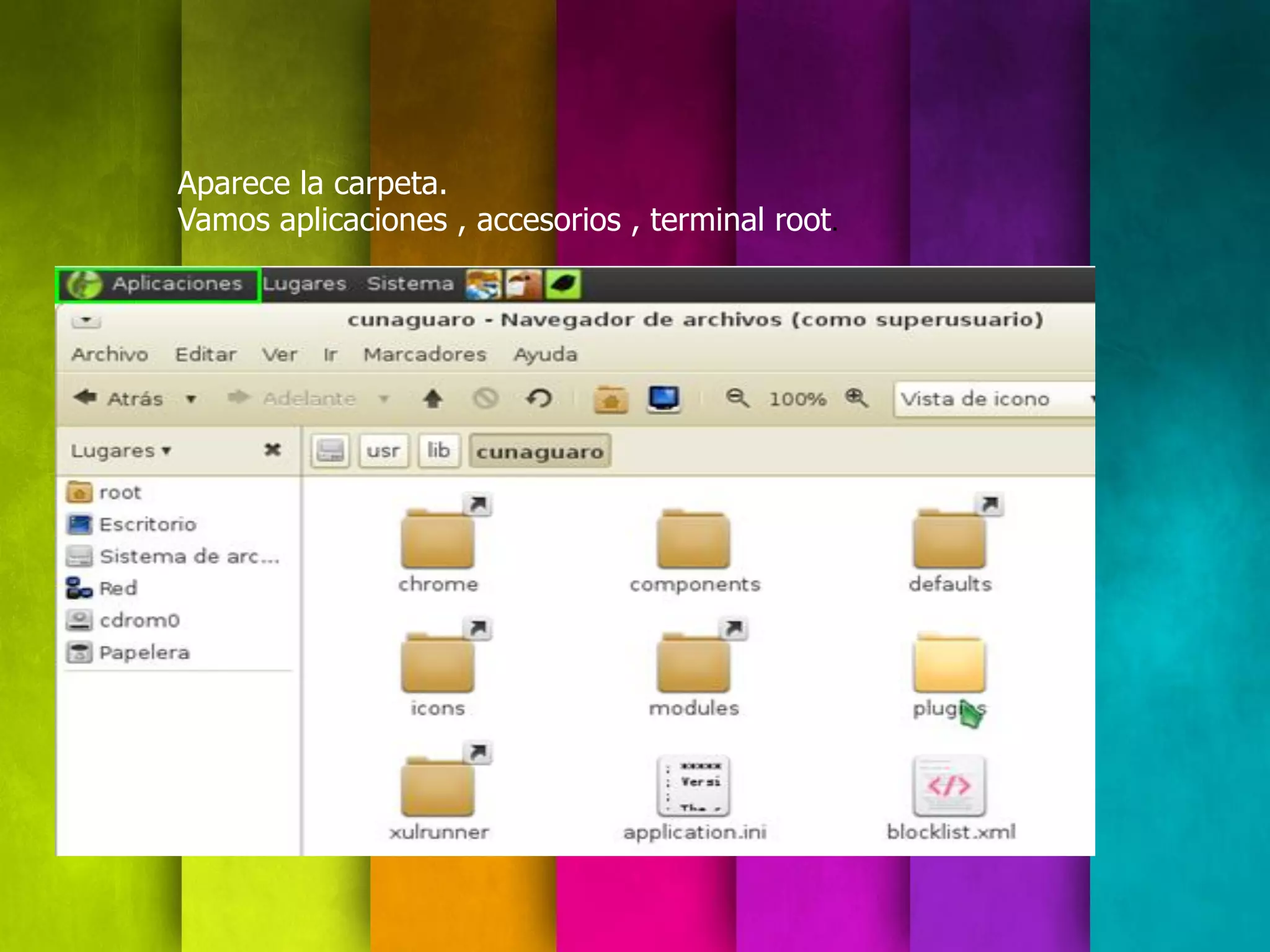 Aparece la carpeta.
Vamos aplicaciones , accesorios , terminal root.
 