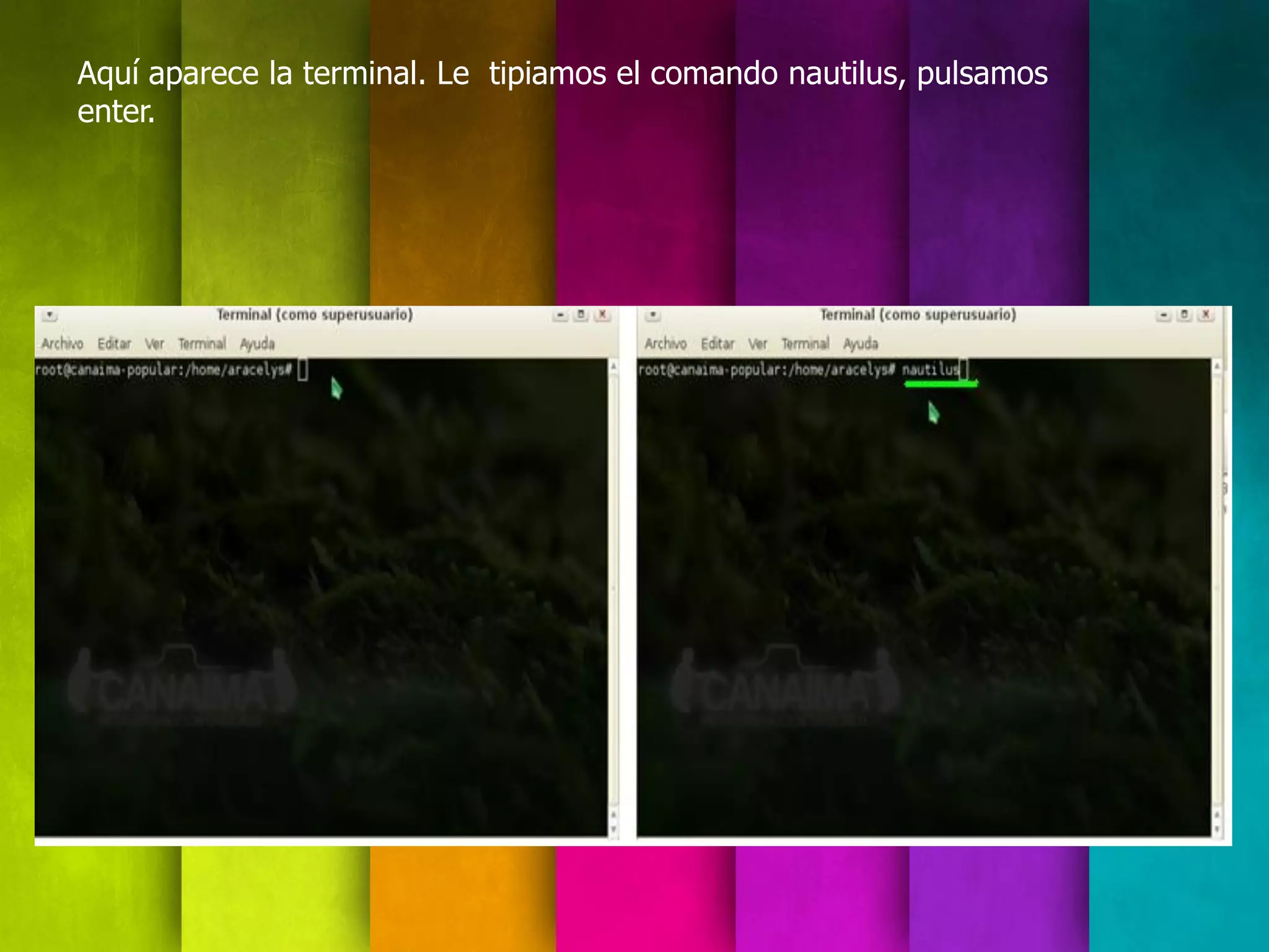 Aquí aparece la terminal. Le tipiamos el comando nautilus, pulsamos
enter.
 