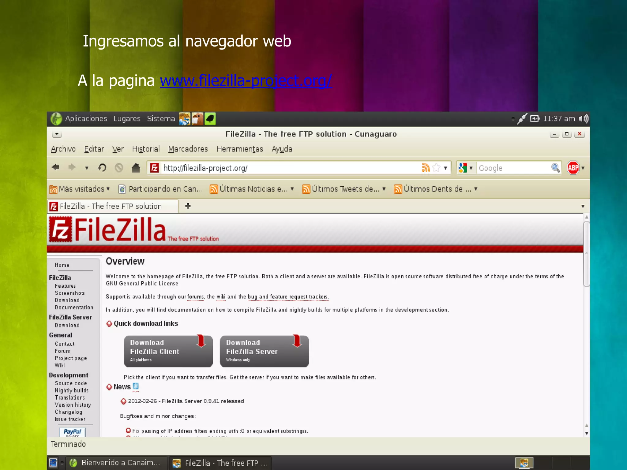 Ingresamos al navegador web

A la pagina www.filezilla-project.org/
 