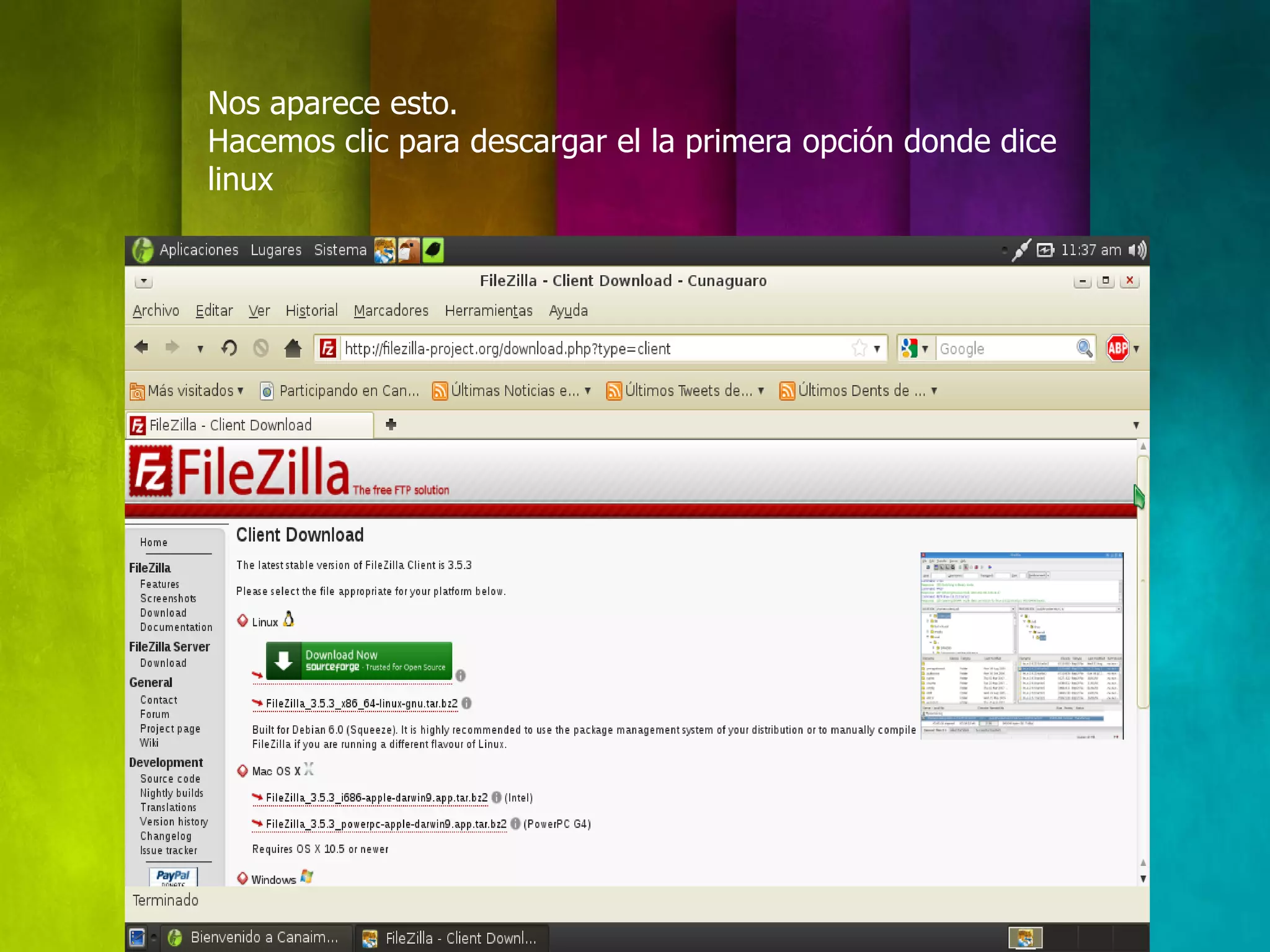 Nos aparece esto.
Hacemos clic para descargar el la primera opción donde dice
linux
 