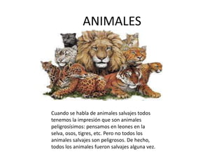 ANIMALES




Cuando se habla de animales salvajes todos
tenemos la impresión que son animales
peligrosísimos: pensamos en leones en la
selva, osos, tigres, etc. Pero no todos los
animales salvajes son peligrosos. De hecho,
todos los animales fueron salvajes alguna vez.
 