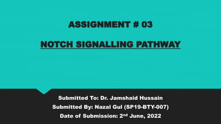 ASSIGNMENT # 03
NOTCH SIGNALLING PATHWAY
Submitted To: Dr. Jamshaid Hussain
Submitted By: Nazal Gul (SP19-BTY-007)
Date of Submission: 2nd June, 2022
 