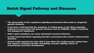 Notch signalling pathway.pptx