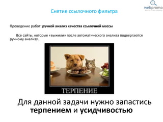 Проведение работ: ручной анализ качества ссылочной массы
Все сайты, которые «выжили» после автоматического анализа подвергаются
ручному анализу.
Для данной задачи нужно запастись
терпением и усидчивостью
Снятие ссылочного фильтра
 