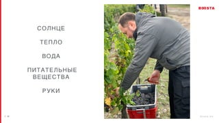 / 2 6 b o o s t a . b i z
| 11
СОЛНЦЕ
ТЕПЛО
ВОДА
ПИТАТЕЛЬНЫЕ
ВЕЩЕСТВА
РУКИ
 