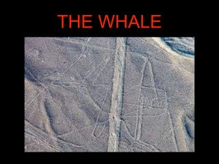 THE WHALE
 
