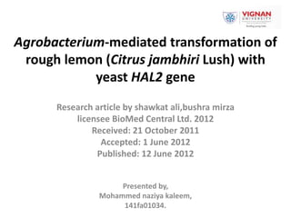 Agrobacterium-mediated transformation of
rough lemon (Citrus jambhiri Lush) with
yeast HAL2 gene
Research article by shawkat ali,bushra mirza
licensee BioMed Central Ltd. 2012
Received: 21 October 2011
Accepted: 1 June 2012
Published: 12 June 2012
Presented by,
Mohammed naziya kaleem,
141fa01034.
 