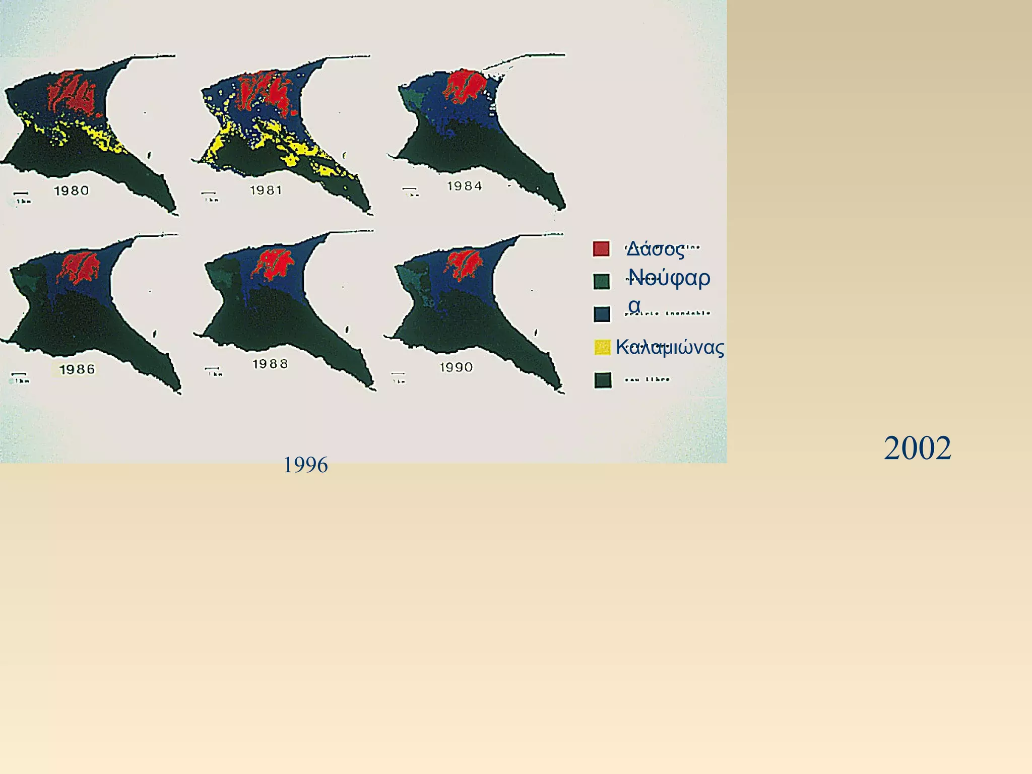 Δάσος
        Νούφαρ
        α
       Καλαμιώνας




1996
                    2002
 