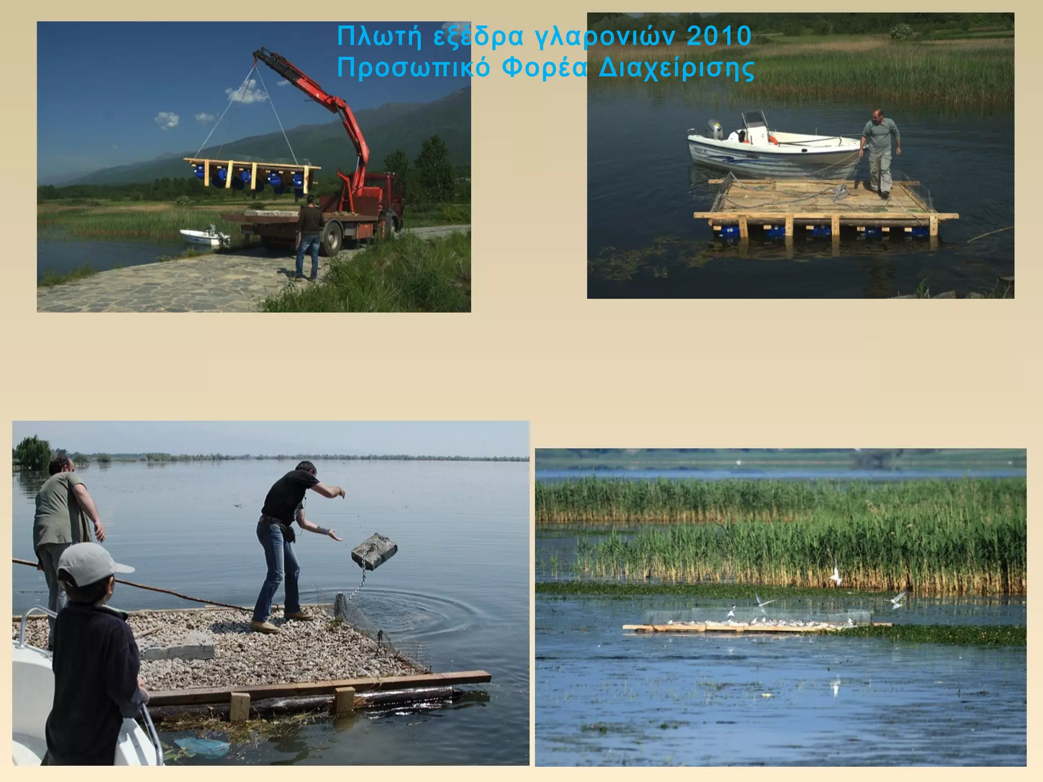 Πλωτή εξέδρα γλαρονιών 2010
Προσωπικό Φορέα Διαχείρισης
 