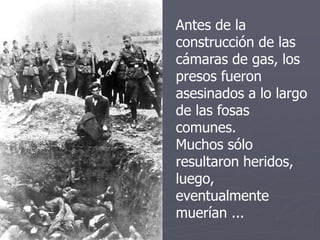 Antes de la
construcción de las
cámaras de gas, los
presos fueron
asesinados a lo largo
de las fosas
comunes.
Muchos sólo
resultaron heridos,
luego,
eventualmente
muerían ...
 