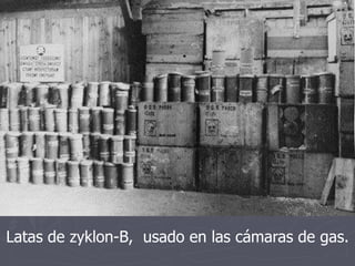 Latas de zyklon-B, usado en las cámaras de gas.
 