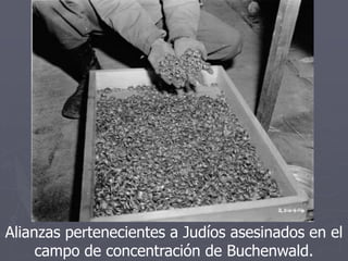 Alianzas pertenecientes a Judíos asesinados en el
campo de concentración de Buchenwald.
 