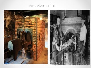 Forno Crematório
 