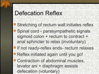 Organs of abdomen | PPT