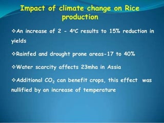 Impact of climate change on rice production | PPTX