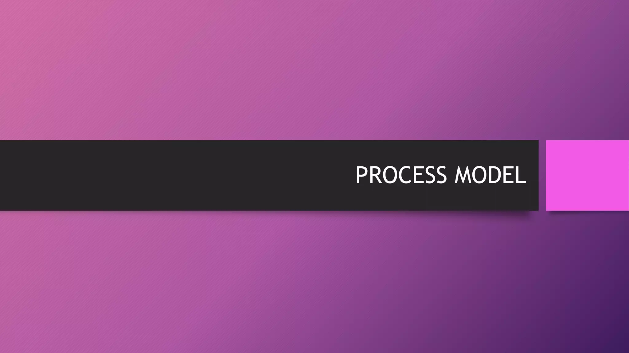PROCESS MODEL
 