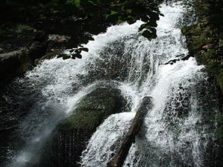 Content: eLearning 2.0 