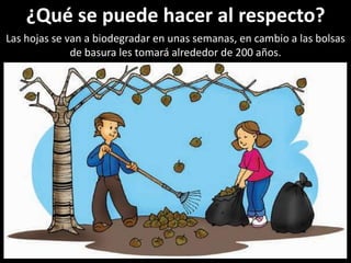 ¿Qué se puede hacer al respecto?Las hojas se van a biodegradar en unas semanas, en cambio a las bolsas de basura les tomará alrededor de 200 años. 