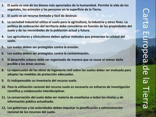 El suelo es uno de los bienes más apreciados de la humanidad. Permite la vida de los vegetales, los animales y las personas en la superficie de la Tierra.El suelo es un recurso limitado y fácil de destruir.La sociedad industrial utiliza el suelo para la agricultura, la industria y otros fines. La política de ordenación del territorio debe concebirse en función de las propiedades del suelo y de las necesidades de la población actual y futura.Los agricultores y silvicultores deben aplicar métodos que preserven la calidad del suelo.Los suelos deben ser protegidos contra la erosión.Los suelos deben ser protegidos contra la contaminación.El desarrollo urbano debe ser organizado de manera que se cause el menor daño posible a las áreas vecinas.La repercusión de las obras de ingeniería civil sobre los suelos deber ser evaluada para adoptar las medidas de protección adecuadas.Es indispensable un inventario del recurso suelo.Para la utilización racional del recurso suelo es necesario un esfuerzo de investigación científica y colaboración interdisciplinar.La conservación del suelo debe ser materia de enseñanza a todos los niveles y de información pública actualizada.Los gobiernos y las autoridades deben impulsar la planificación y administración racional de los recursos del suelo.Carta Europea de la Tierra