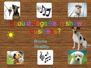 Should dogs be in show
business?
Brooke
Stradley
 