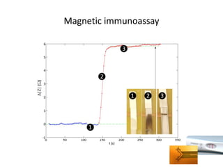 Magnetic immunoassay  