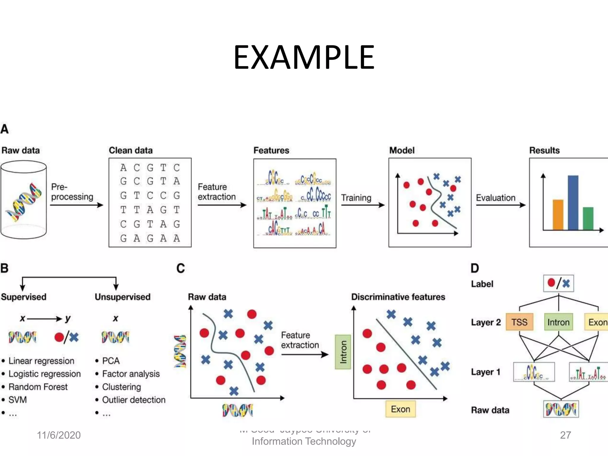 biomedical signal processing | PPT