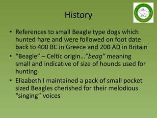 National Beagle Club Judges Education updated 2019 | PPTX