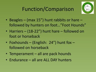 Endurance Rabbit National Beagle Club Judges Education updated 2019 | PPTX