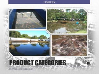 PRODUCT CATEGORIES 10
ONE VILLAGE ONE PRODUCT
FISHERY
 