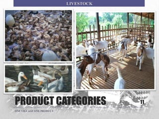 PRODUCT CATEGORIES 11
ONE VILLAGE ONE PRODUCT
LIVESTOCK
 