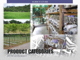 PRODUCT CATEGORIES 9
ONE VILLAGE ONE PRODUCT
AGRICULTURE
 