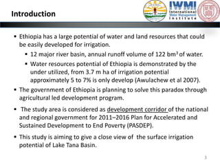 Realistic assessment of irrigation potential in the Lake Tana Basin, Ethiopia