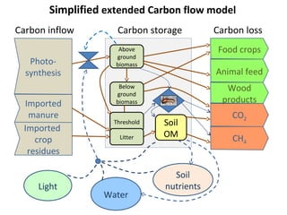Improving agricultural water productivity through integrated termite management