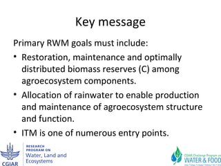 Improving agricultural water productivity through integrated termite management