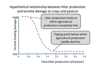 Improving agricultural water productivity through integrated termite management