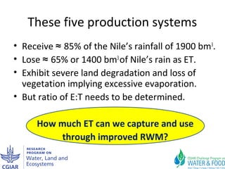 Why rainwater management matters in the Nile Basin: One step towards a possible synthesis paper or proposal