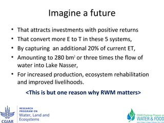 Why rainwater management matters in the Nile Basin: One step towards a possible synthesis paper or proposal