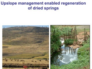 Integrated rainwater management strategies for environment and resilience
