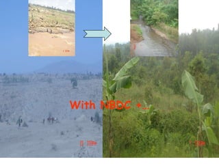 Integrated rainwater management strategies for environment and resilience