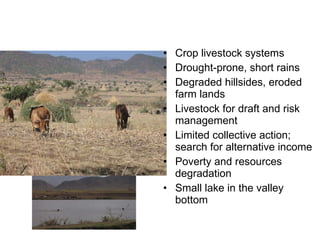 Integrated rainwater management strategies for environment and resilience