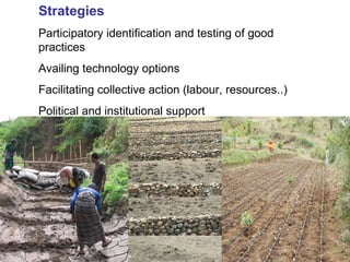 Integrated rainwater management strategies for environment and resilience