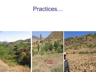 Integrated rainwater management strategies for environment and resilience